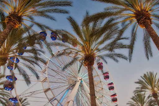 Ferris wheel surrounded by palm trees, Irvine, Orange County